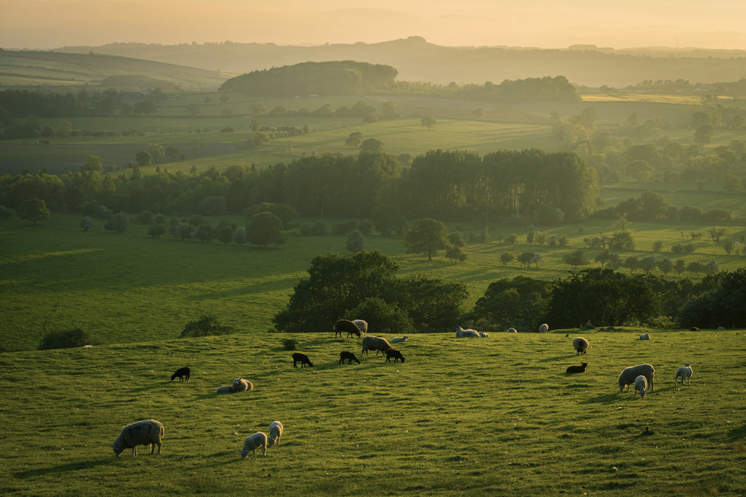 10 Tips for Sustainable Farming Practices